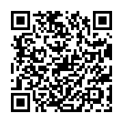11TECH LINE QR Code